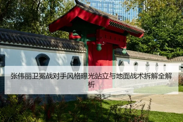 张伟丽卫冕战对手风格曝光站立与地面战术拆解全解析